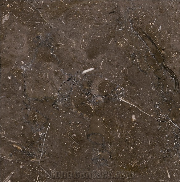 Melly Brown Limestone