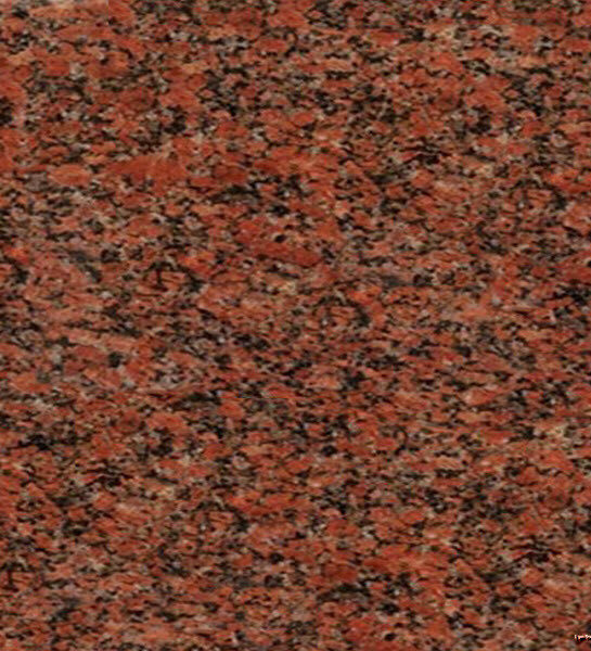 Red Nefertiti Granite