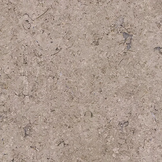 Sinai Pearl Beige Limestone