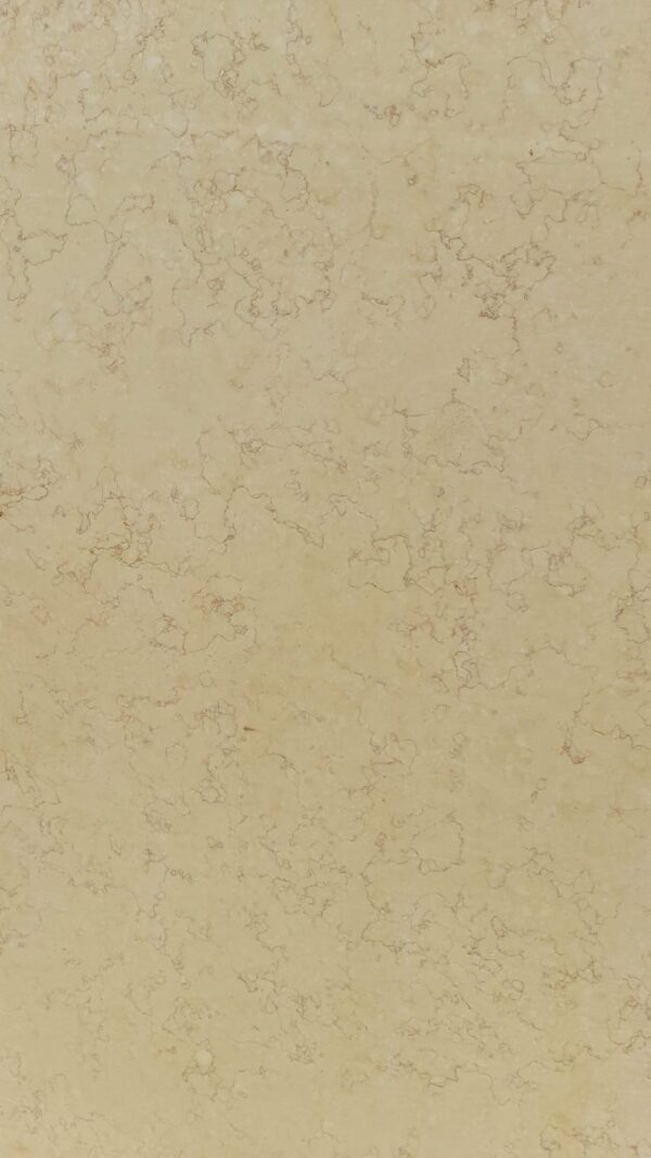 Sunny Fadl Limestone