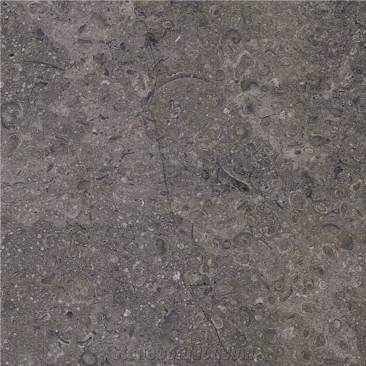 Sinai Pearl Grey Limestone