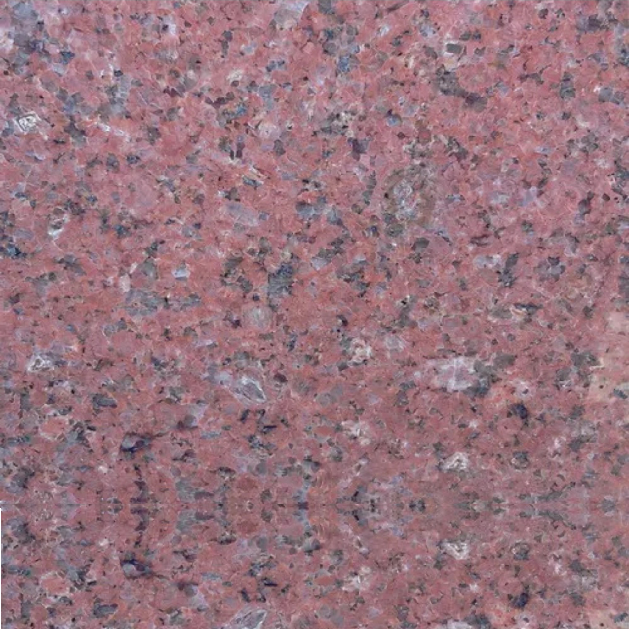 Red-Safaga